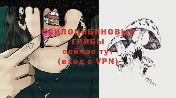 твердый Медвежьегорск