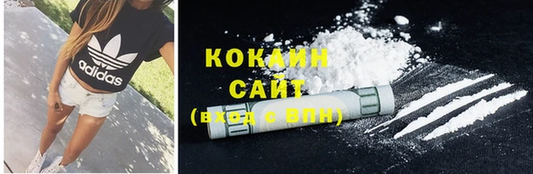 ешки Мегион
