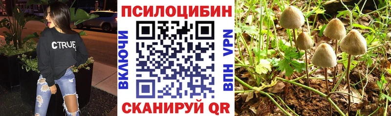 Псилоцибиновые грибы Cubensis  магазин продажи   Куйбышев 